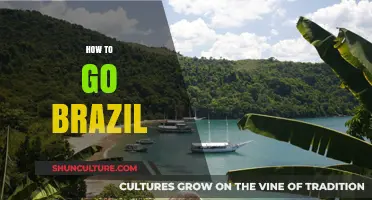 Your Ultimate Guide to Planning a Perfect Trip to Brazil