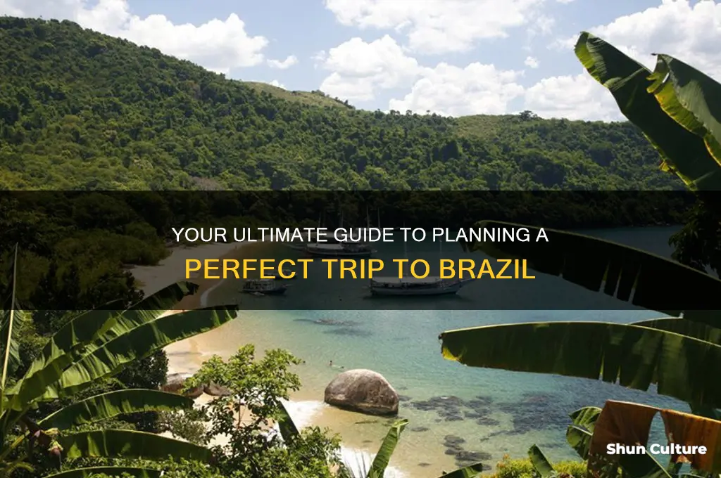 how to go brazil