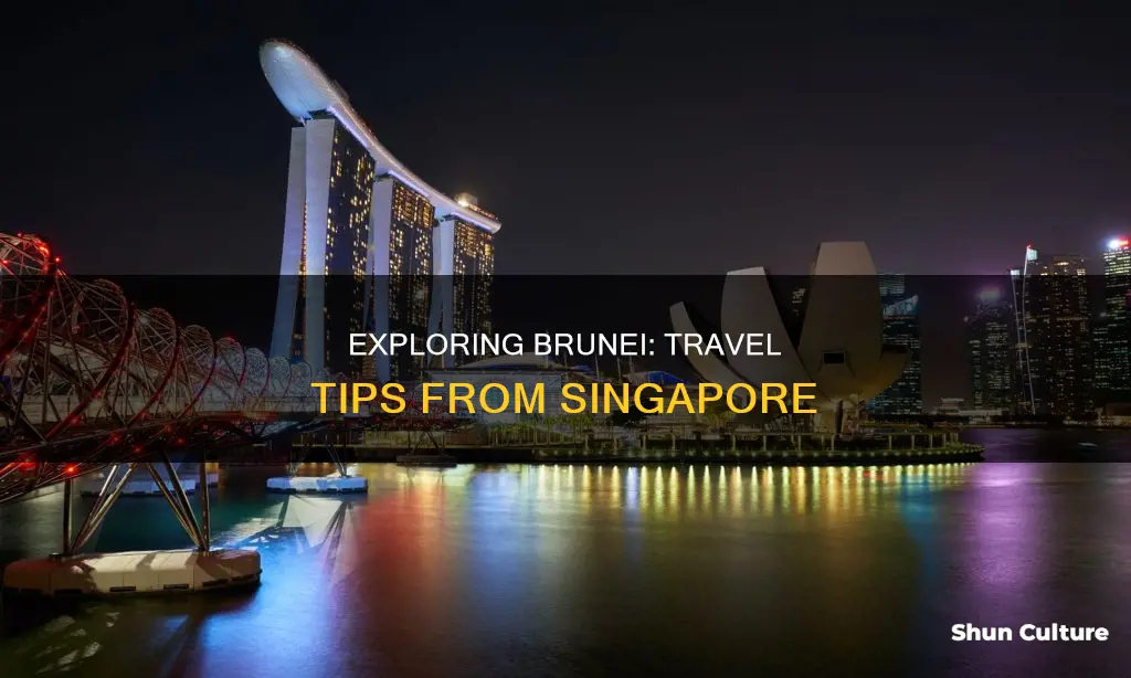 how to go brunei from singapore