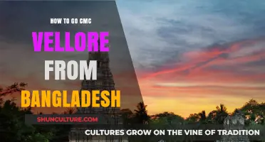 Travel Guide: Bangladesh to CMC Vellore - Easy Steps