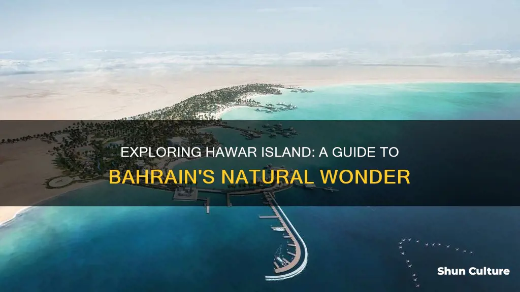 how to go hawar island bahrain