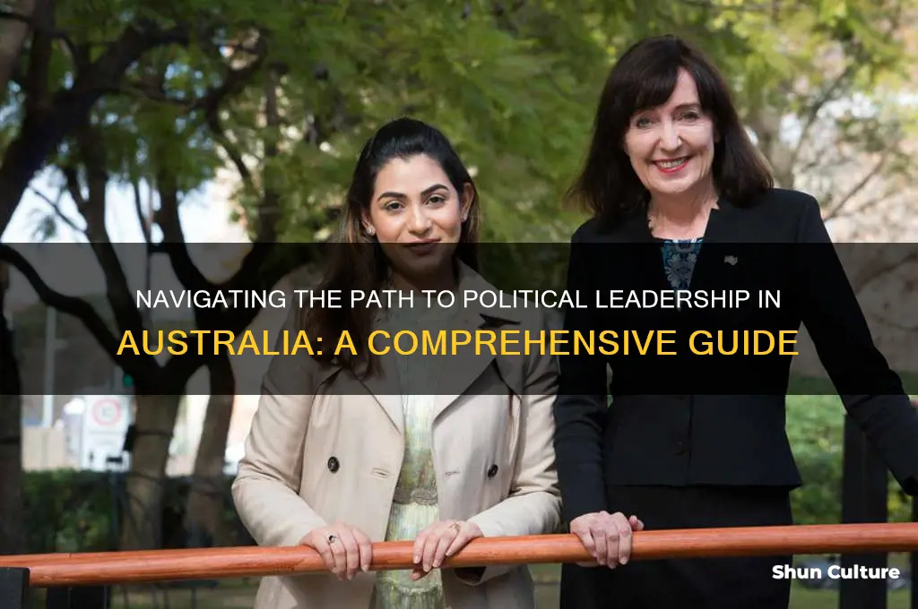 how to go into politics australia