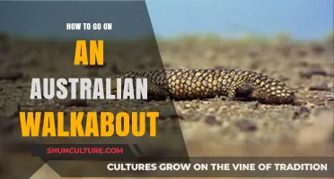 Exploring the Outback: Your Guide to an Authentic Australian Walkabout