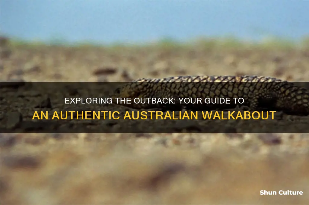 how to go on an australian walkabout