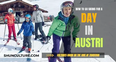 A Beginner's Guide to Skiing in Austria: Tips for a Fun-Filled Day