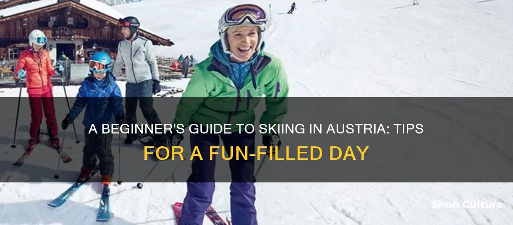 how to go skiins for a day in austri