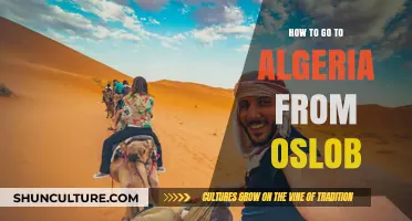 Travel Guide: Oslob to Algeria - Your Ultimate Journey Planner
