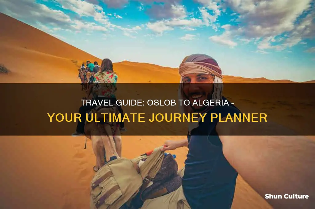 how to go to algeria from oslob
