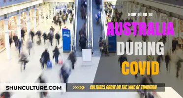 Traveling to Australia During COVID: Essential Tips and Guidelines
