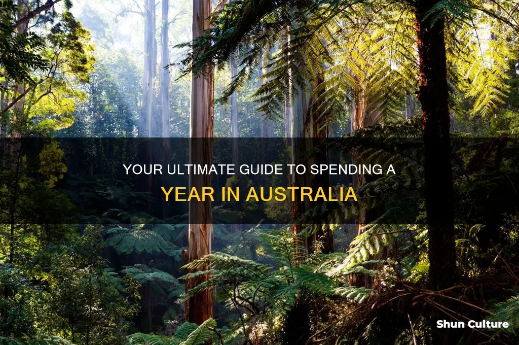 how to go to australia for a year