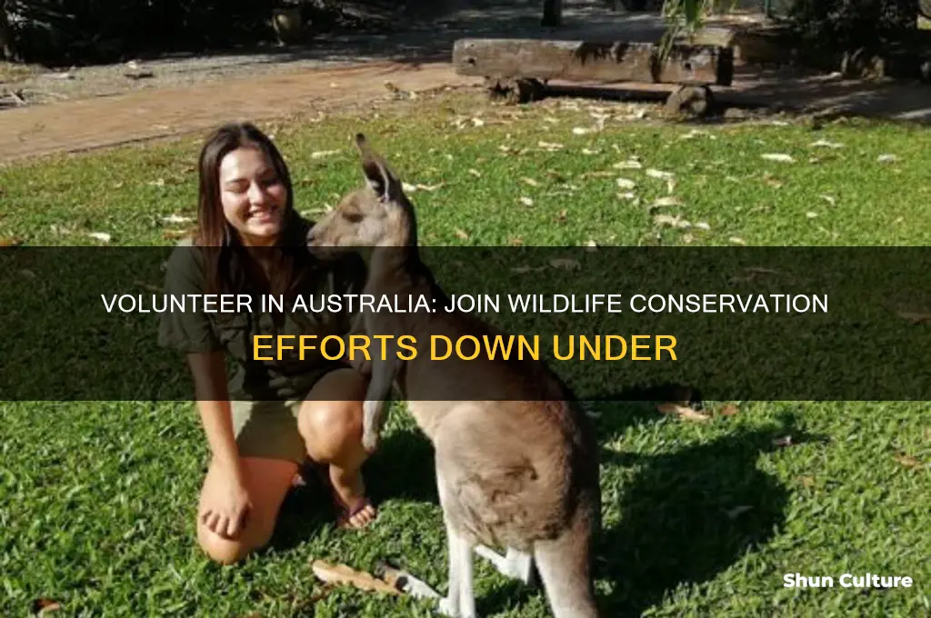how to go to australia to help animals