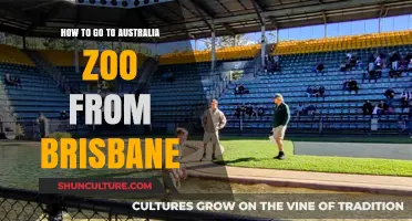 Brisbane to Australia Zoo: Easy Travel Guide & Tips
