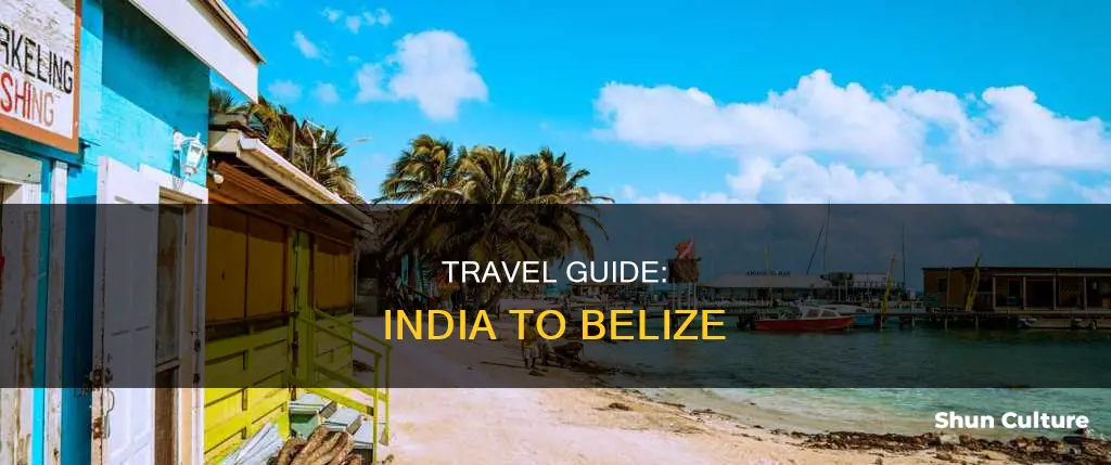 how to go to belize from india