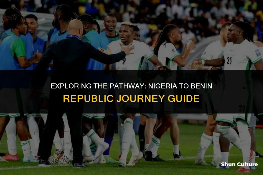 how to go to benin republic from nigeria