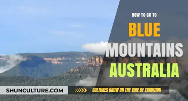 Exploring Blue Mountains Australia: A Complete Travel Guide for Visitors