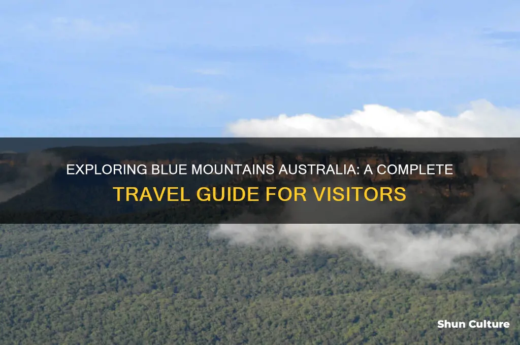 how to go to blue mountains australia