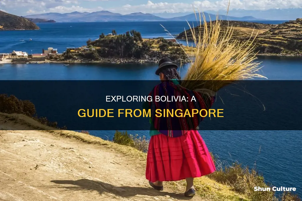 how to go to bolivia from singapore