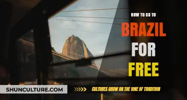 Unlock Brazil: Free Travel Tips and Strategies for Your Adventure