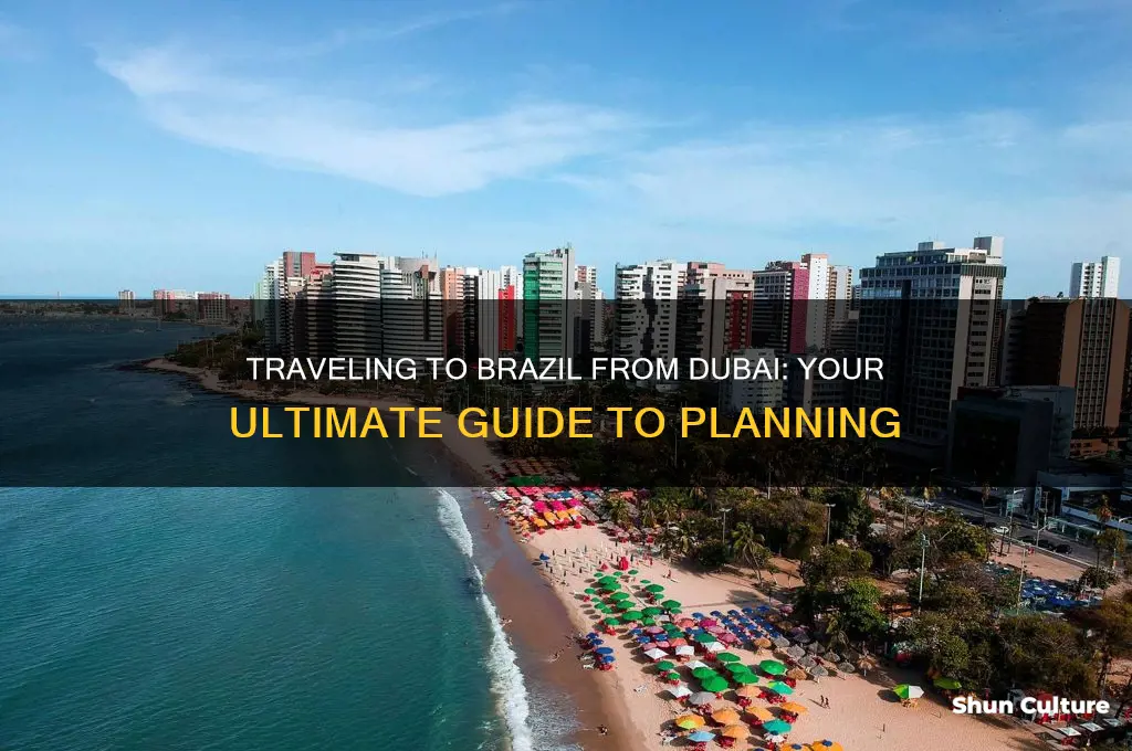 how to go to brazil from dubai