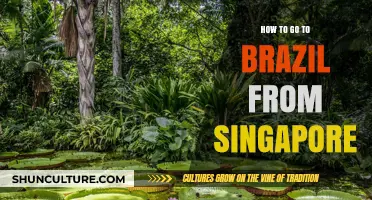 Singapore to Brazil: Your Ultimate Travel Guide and Itinerary