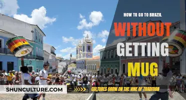 Safe Travel Tips: Avoiding Scams and Staying Secure in Brazil