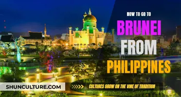 Travel Guide: Philippines to Brunei