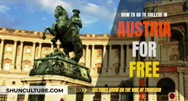 Unlocking Education: A Guide to Free College in Austria