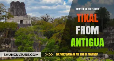 Travel Guide: Exploring Flores Tikal from Antigua, Guatemala