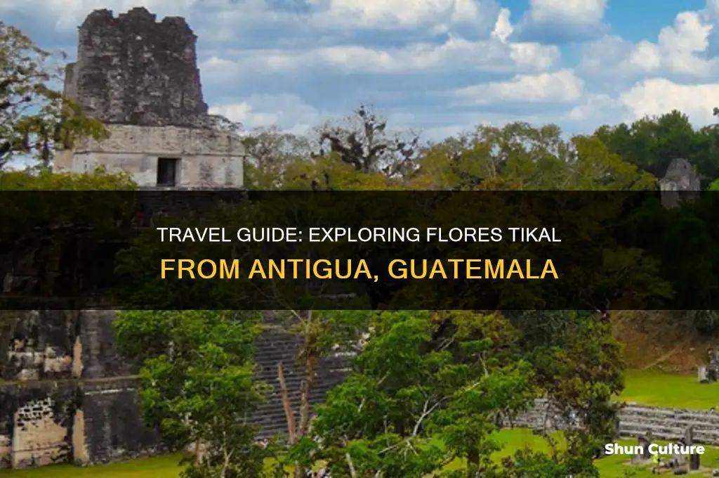 how to go to flores tikal from antigua