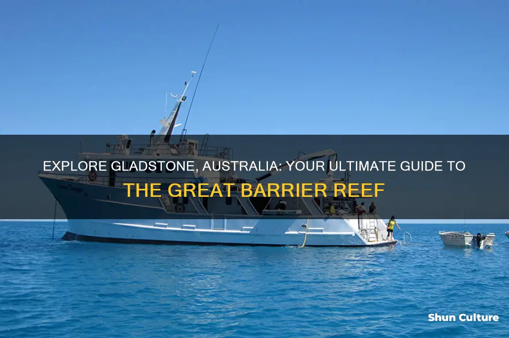 how to go to gladstone australia and do the gbr