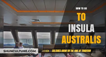 Exploring Insula Australis: A Comprehensive Guide to Your Journey