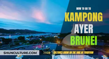 Exploring Kampong Ayer: A Guide to Brunei's Water Village