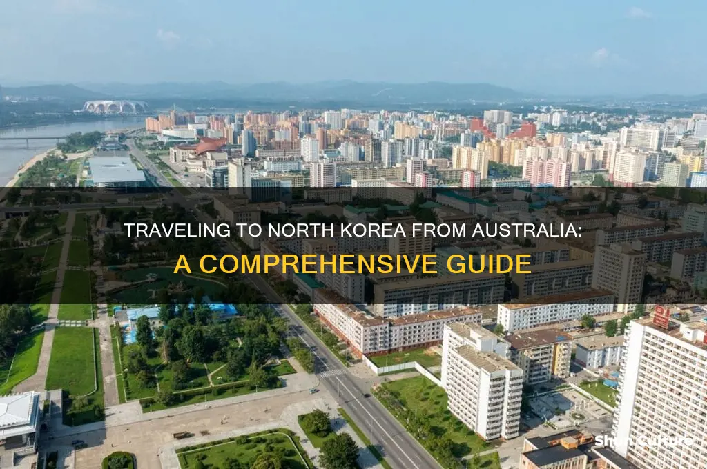 how to go to north korea from australia