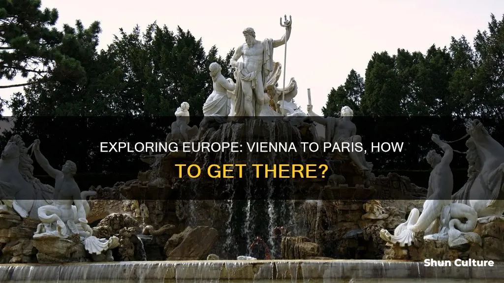 how to go to paris from vienna austria