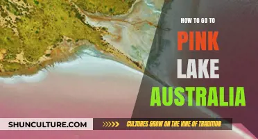 Discovering Pink Lake Australia: Your Ultimate Travel Guide to Visit