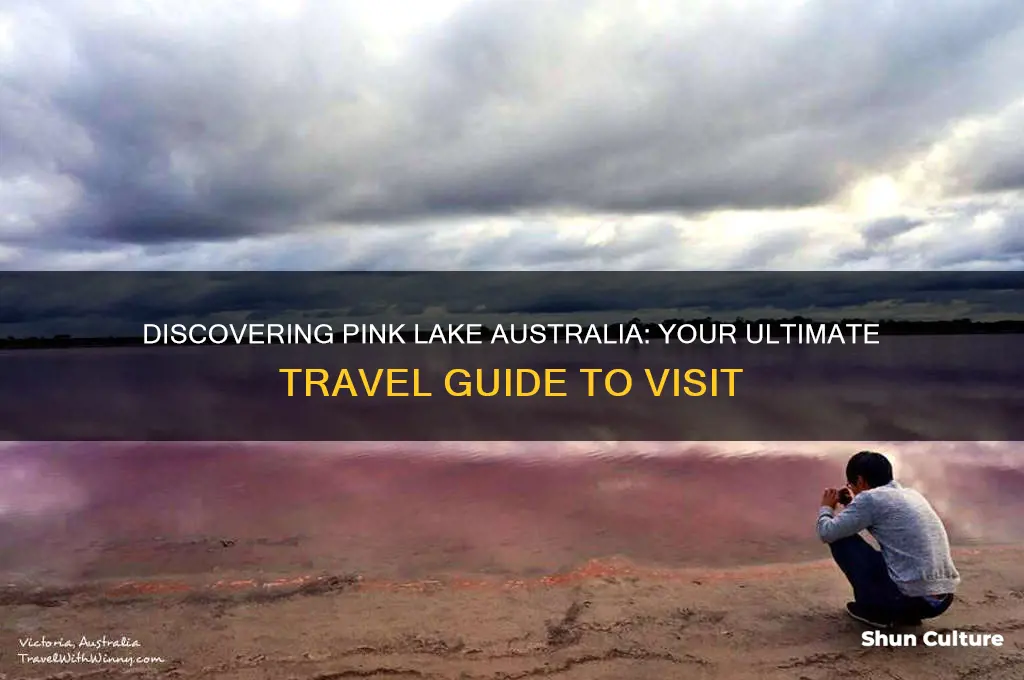 how to go to pink lake australia