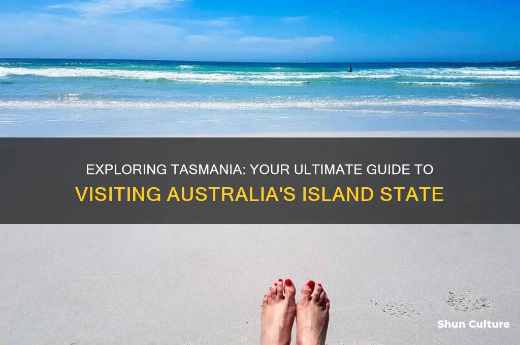 how to go to tasmania australia