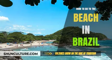 Ultimate Guide to Enjoying Brazil's Stunning Beaches Like a Local