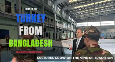 Travel Guide: Bangladesh to Turkey - Visa, Flights, and Tips