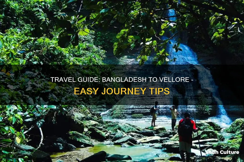 how to go vellore from bangladesh