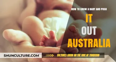 The Push: Australia's Guide to Pregnancy and Childbirth