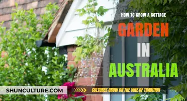 Creating a Cottage Garden in Australia: A Guide