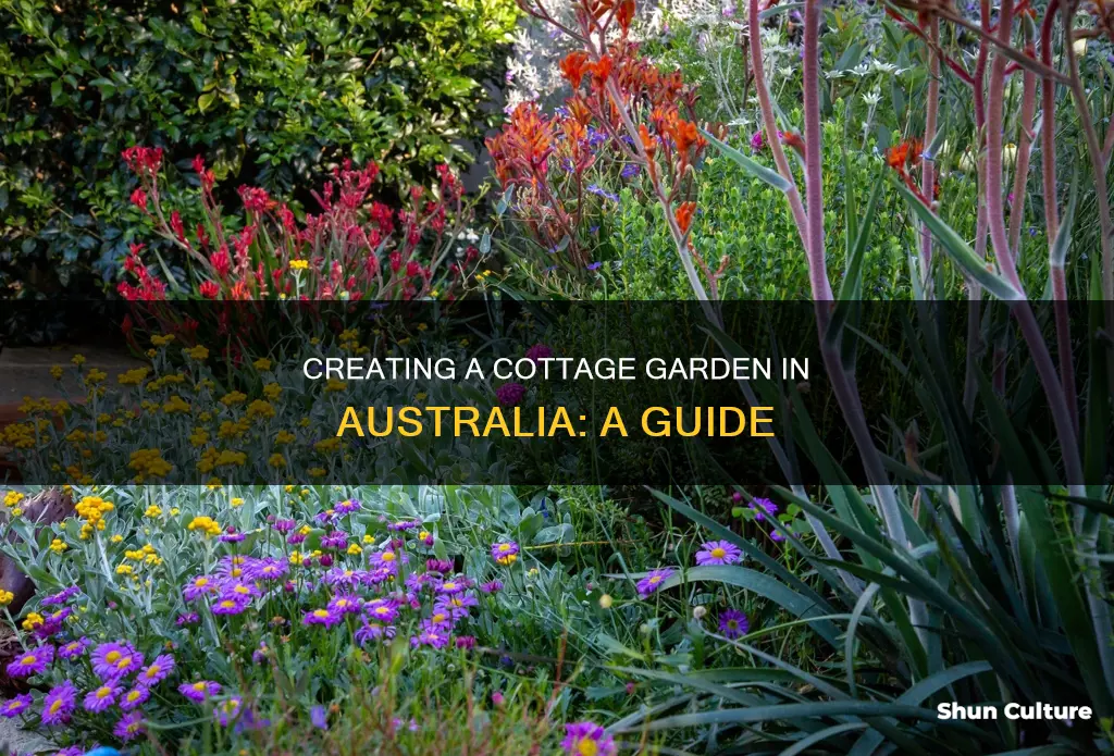 how to grow a cottage garden in australia