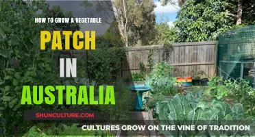 Veggie Patch Guide: Australia's Gardening Success