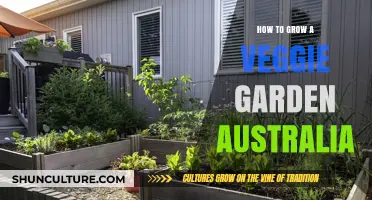 Grow Your Own Veggie Garden: An Australian Guide