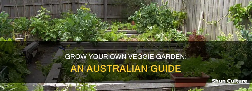 how to grow a veggie garden australia