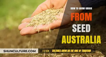 Growing Grass from Seeds: A Guide for Australian Gardeners