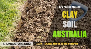 Growing Grass on Clay Soil: Tips for Australians