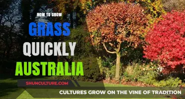 Quickly Grow Grass in Australia: Tips and Tricks