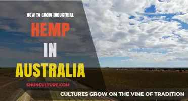 Growing Industrial Hemp in Australia: A Comprehensive Guide